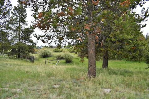 52912 Timber Lane Loop, La Pine, OR 97739 photo 26