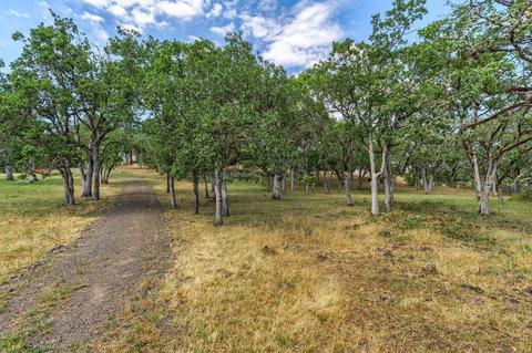 1850 Worthington Rd, Eagle Point, OR 97524 photo 43