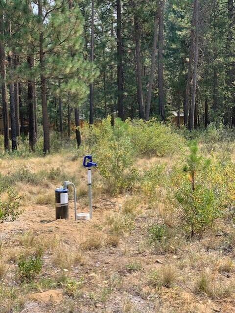 17269 Jacinto Rd, Bend, OR 97707 photo 4