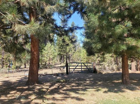 52866 Wayside Loop, La Pine, OR 97739 photo 20