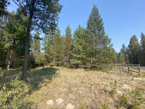 55395 Big River Dr, Bend, OR 97707 photo 39