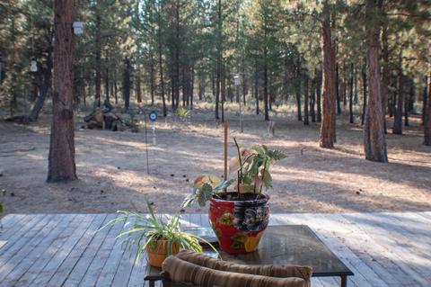 14725 Longleaf Pne, La Pine, OR 97739 photo 11