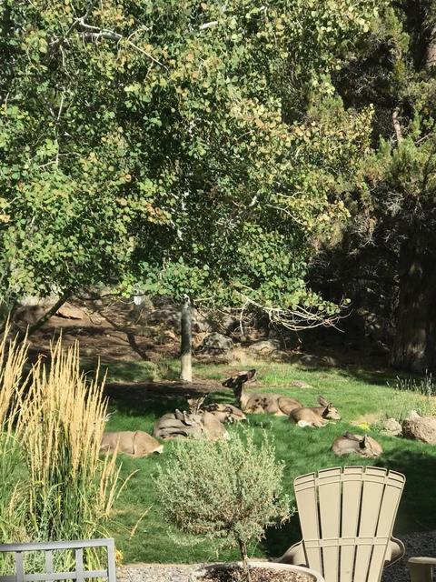 1656 Summit Dr NW, Bend, OR 97703 photo 35