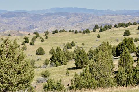 0000 Hwy 218 Hwy, Antelope, OR 97001