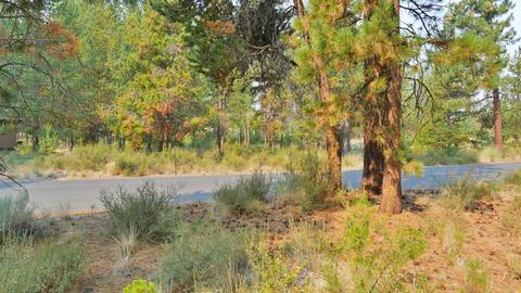 56284 Sable Rock Loop, Bend, OR 97707 photo 9
