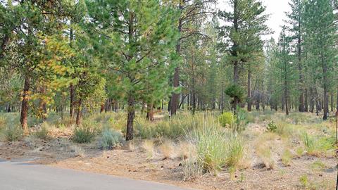 56284 Sable Rock Loop, Bend, OR 97707 photo 13