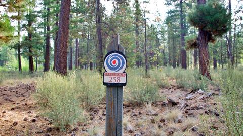 56284 Sable Rock Loop, Bend, OR 97707 photo 6