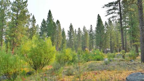 56284 Sable Rock Loop, Bend, OR 97707 photo 5