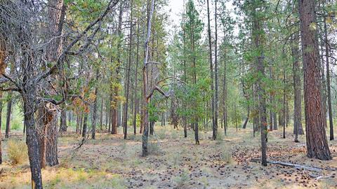 56284 Sable Rock Loop, Bend, OR 97707 photo 14