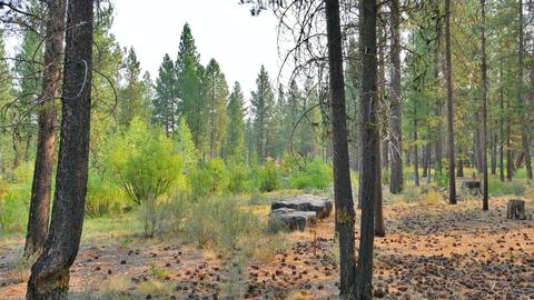 56284 Sable Rock Loop, Bend, OR 97707 photo 2