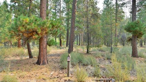 56284 Sable Rock Loop, Bend, OR 97707 photo 1