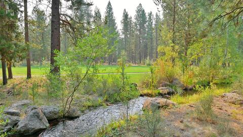 56284 Sable Rock Loop, Bend, OR 97707 photo 4