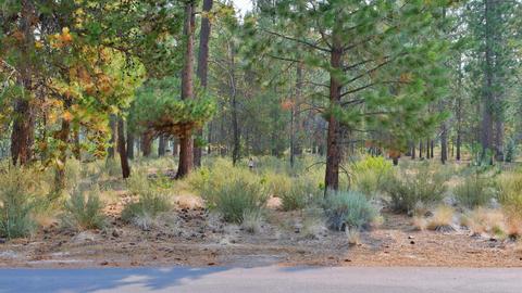 56284 Sable Rock Loop, Bend, OR 97707 photo 12