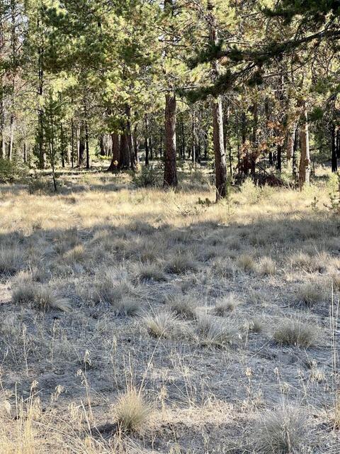 17011 Sharp Dr, Bend, OR 97707 photo 9