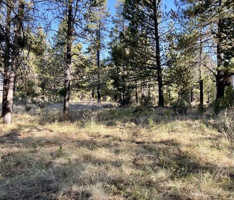 17011 Sharp Dr, Bend, OR 97707 photo 6