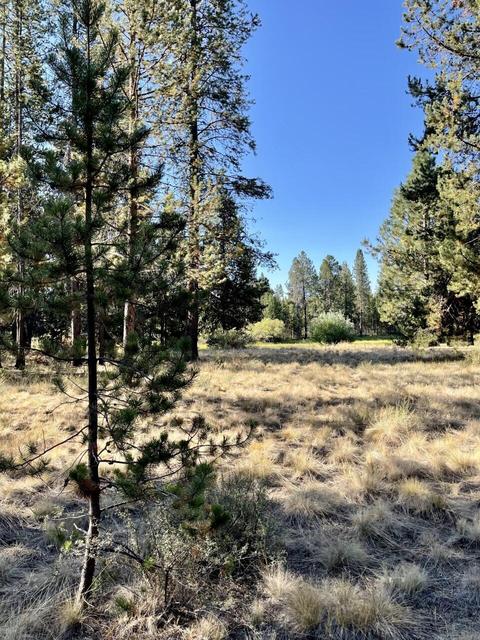 17011 Sharp Dr, Bend, OR 97707 photo 11