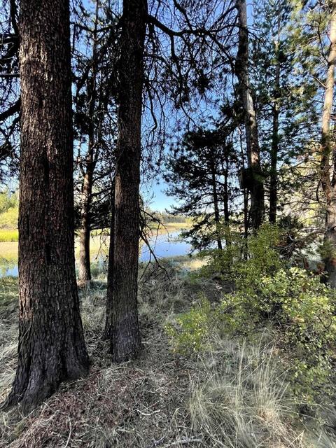 17011 Sharp Dr, Bend, OR 97707 photo 7