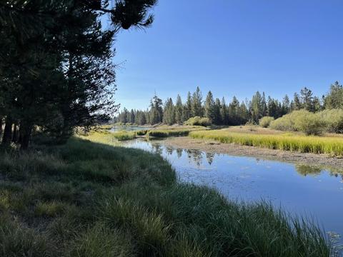 17011 Sharp Dr, Bend, OR 97707 photo 3