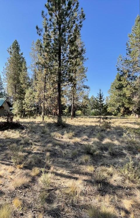 17011 Sharp Dr, Bend, OR 97707 photo 12