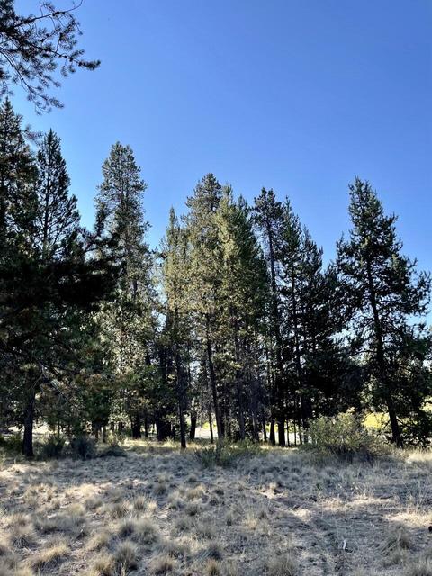 17011 Sharp Dr, Bend, OR 97707 photo 10