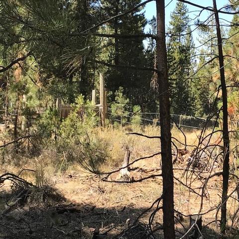 15962 Jackpine Rd, La Pine, OR 97739 photo 7