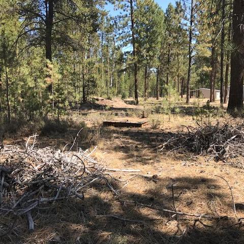 15962 Jackpine Rd, La Pine, OR 97739 photo 5