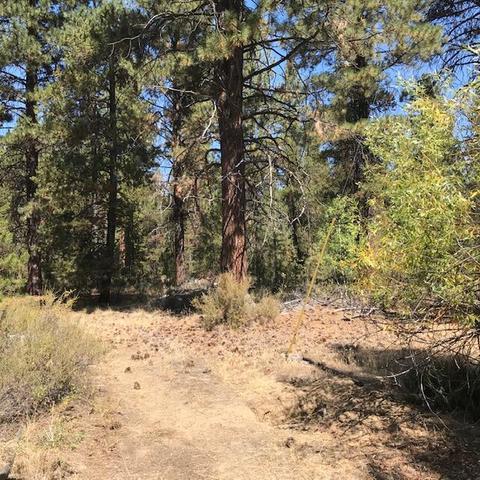 15962 Jackpine Rd, La Pine, OR 97739 photo 3