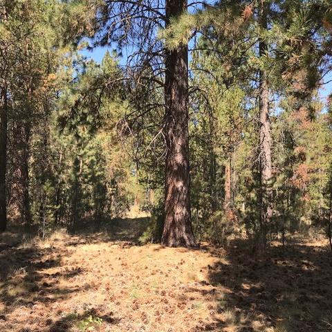 15962 Jackpine Rd, La Pine, OR 97739 photo 4