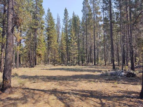 52790 Wayside Loop, La Pine, OR 97739 photo 8