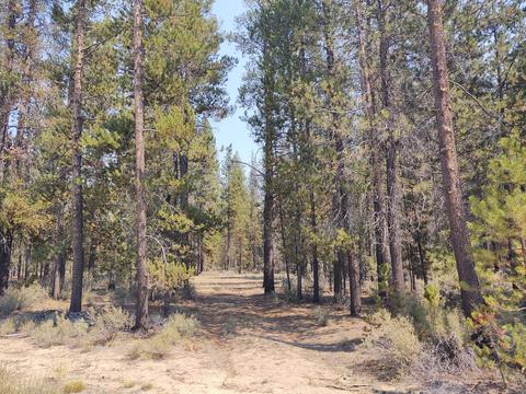 52790 Wayside Loop, La Pine, OR 97739 photo 7