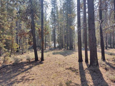52790 Wayside Loop, La Pine, OR 97739 photo 5