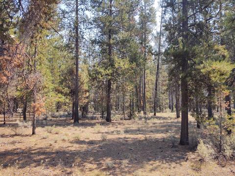52790 Wayside Loop, La Pine, OR 97739 photo 4