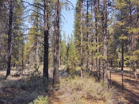 52790 Wayside Loop, La Pine, OR 97739 photo 3