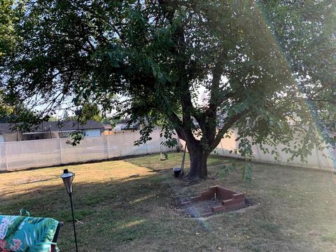 533 Laurel St, Eagle Point, OR 97524 photo 29
