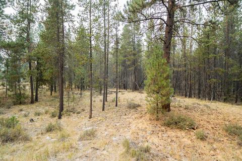 16360 Red Bear Ln, Bend, OR 97707 photo 30