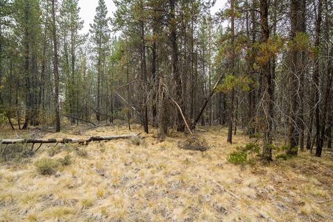 16360 Red Bear Ln, Bend, OR 97707 photo 32