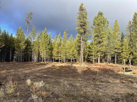 17088 Jacinto Rd, Bend, OR 97707 photo 8