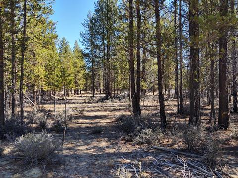 10452 Split Rail Rd, La Pine, OR 97739 photo 17