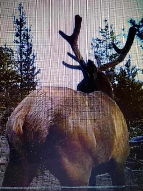 10452 Split Rail Rd, La Pine, OR 97739 photo 7