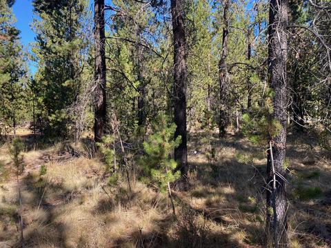 17266 Tholstrup Dr, Bend, OR 97707 photo 5