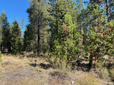 17266 Tholstrup Dr, Bend, OR 97707 photo 7