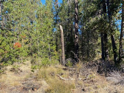 17266 Tholstrup Dr, Bend, OR 97707 photo 2
