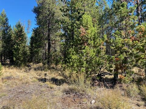 17266 Tholstrup Dr, Bend, OR 97707 photo 1