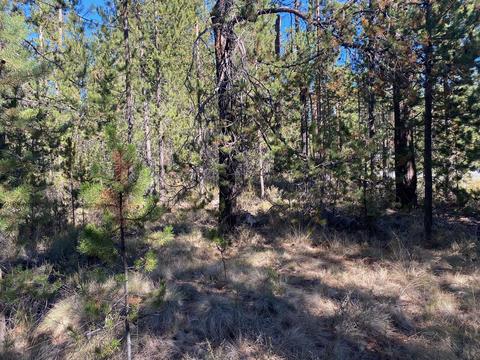 17266 Tholstrup Dr, Bend, OR 97707 photo 3