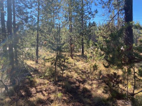 17266 Tholstrup Dr, Bend, OR 97707 photo 4