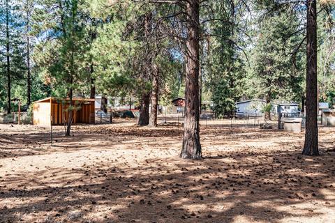 19355 Apache Rd, Bend, OR 97702 photo 23