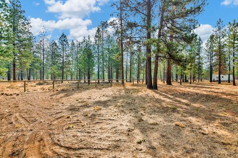 14779 Bluegrass Loop, Sisters, OR 97759 photo 15