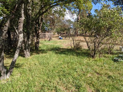 1799 Stevens Rd, Eagle Point, OR 97524 photo 11
