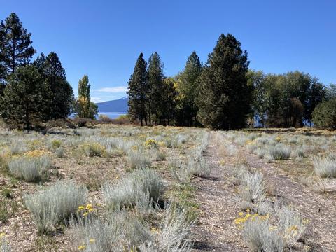 35850 Modoc Point Rd, Chiloquin, OR 97624 photo 20