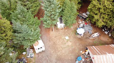 352 Red Blanket Rd, Prospect, OR 97536 photo 5